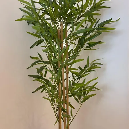 Timeless - O'clock Διαμέρισμα Lisboa